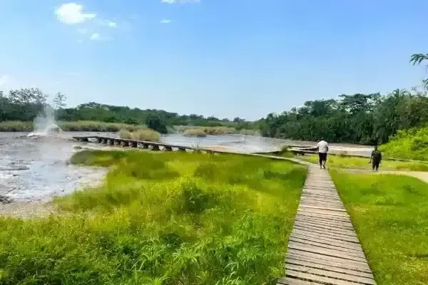 Semuliki National Park hot springs and lowland forest