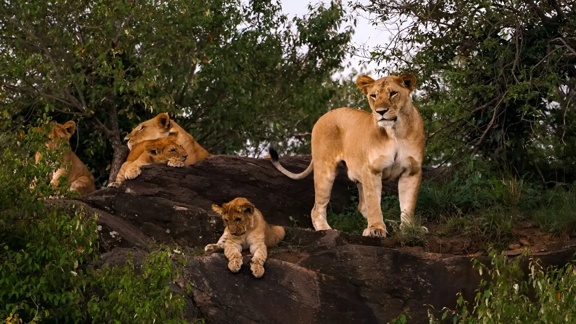 Kidepo Valley National Park remote wilderness