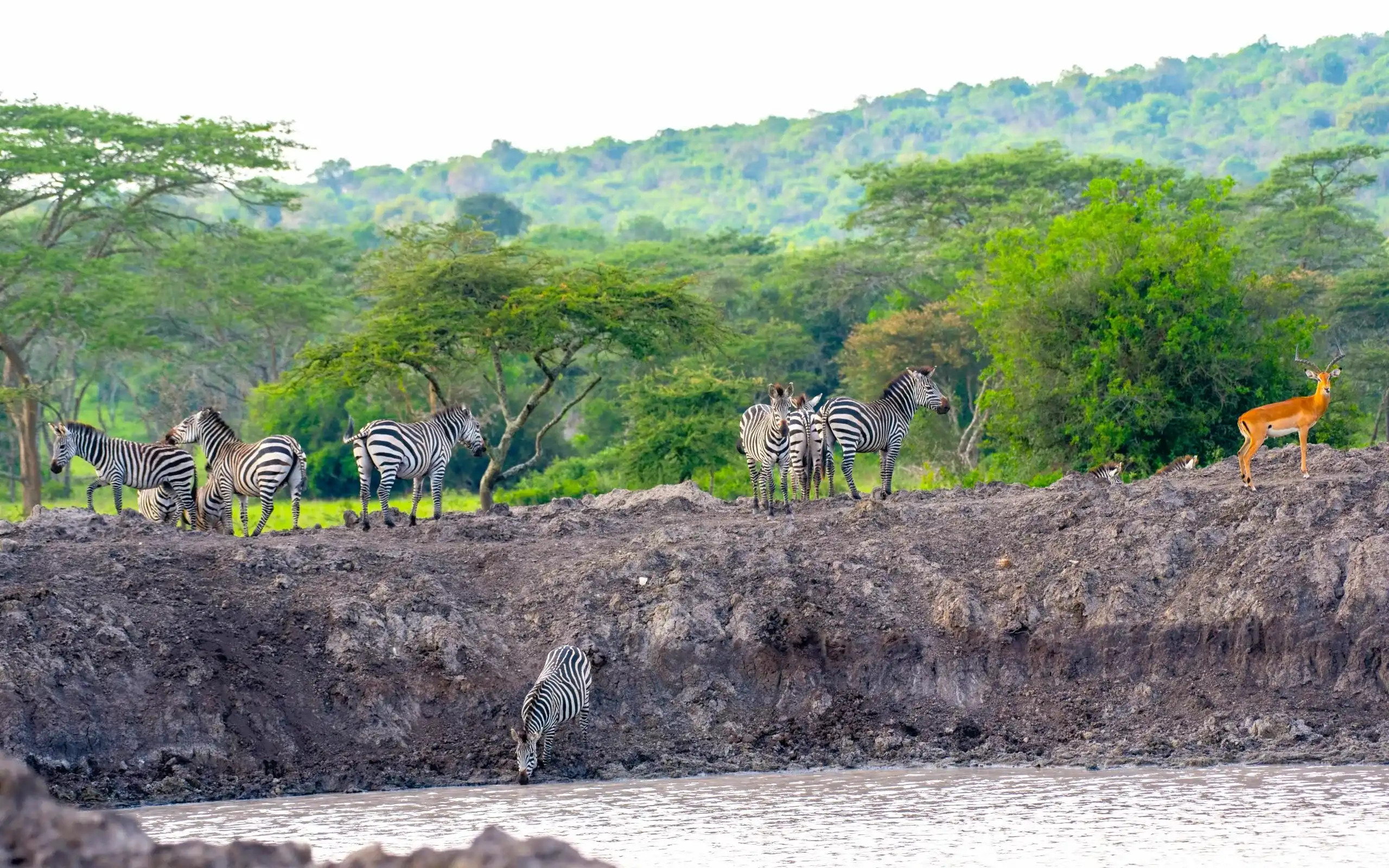 Lake Mburo