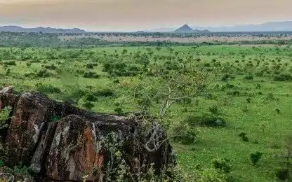 Remote Wilderness Expedition in Kidepo